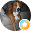 M Cookie Avatar